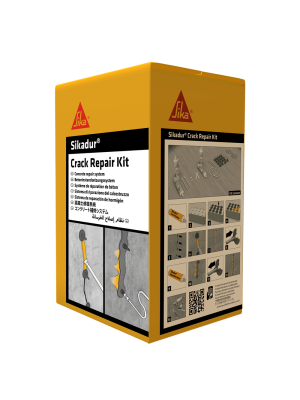 Sikadur Crack Repair Kit (Set)