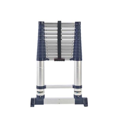 TB Davies Xtend+Climb ProSeries S2 Telescopic Ladder | 1303-080C