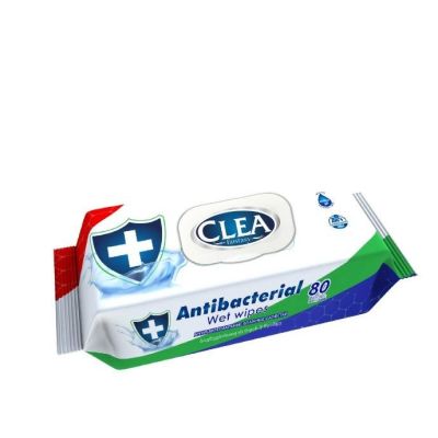 Anti-Bacterial Surface Wipes (80 Pack) | S1141