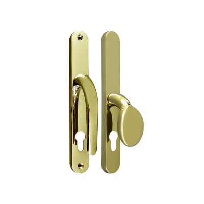 Vita DH 313 Lever Door Handle on Long Backplate - Polished Gold