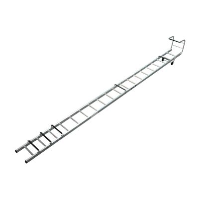 Lyte Trade Single Roof Ladder | L3067C