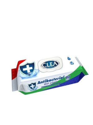 Anti-Bacterial Surface Wipes
